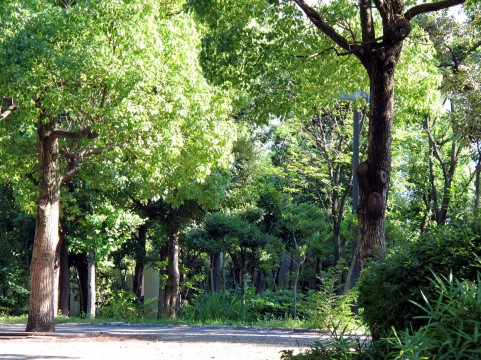 キャンプ