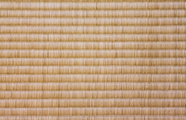 PAK23_huruitatami20140208_TP_V